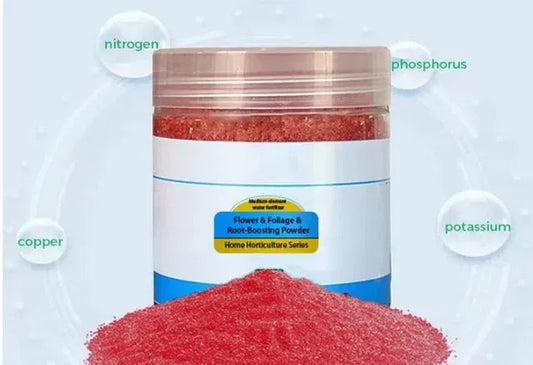 Root Boosting Powder 400 gm Pack of 2