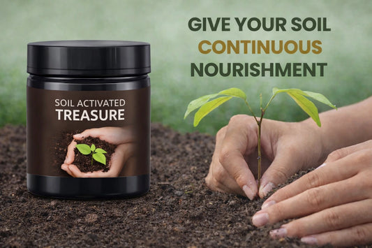Premium Soil Activator for Plant Growth (Buy 1 Get 1 Free) I 50% Off